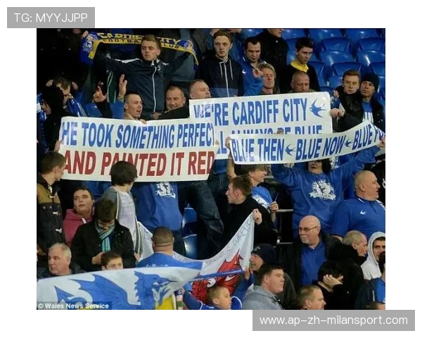 加的夫城格兰特多次成功反插得分区